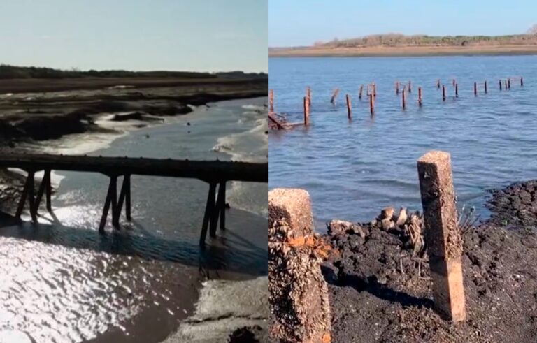 Video tras la recuperación del nivel de agua en Paso Severino el