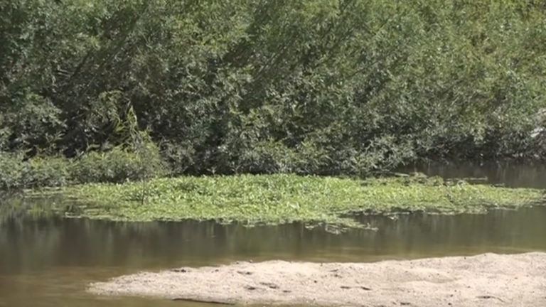 Investigan El Hallazgo Del Cadáver De Una Mujer En Un Arroyo Cerca De Sarandí Grande 2561