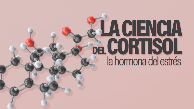 La Ciencia Del Cortisol, La Afamada "hormona Del Estrés" Y Cómo Influye ...